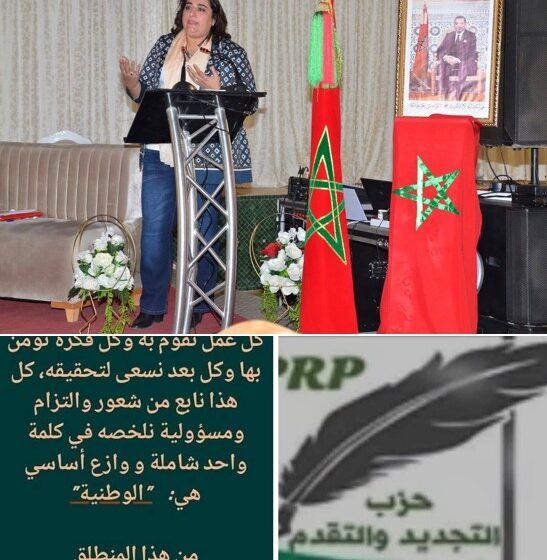  الدردشة الشهرية 24 دجنبر 2024 : حزب التجديد و التقدم تحت المجهر مع الأستاذة غيثة يحياوي رئيسة اللجنة التأسيسية.