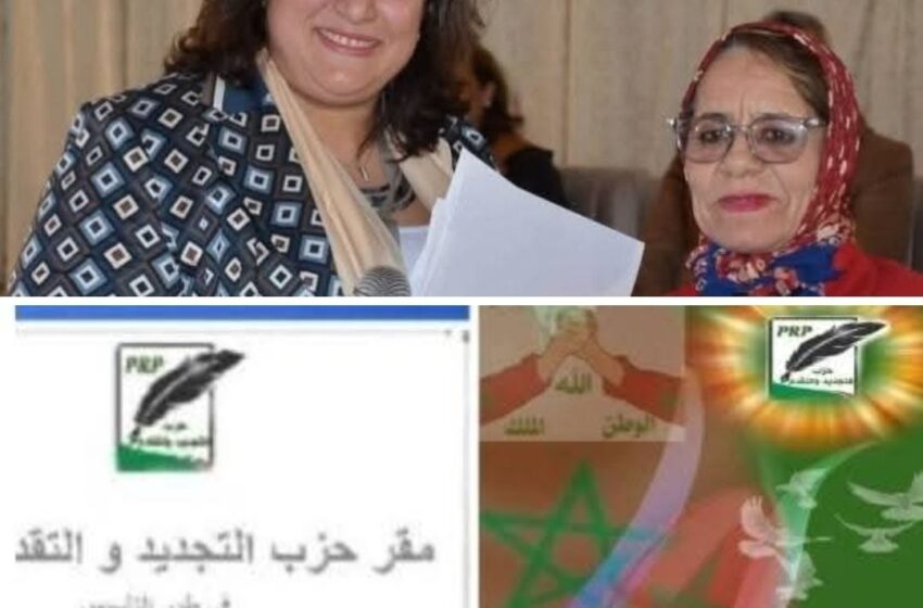  رئاسة اللجنة التأسيسية لحزب التجديد والتقدم (في طور التأسيس) تعين السيدة سميرة فهمي منسقة وطنية مكلفة بهيكلة هيئة “كشاف الغد المشرق”